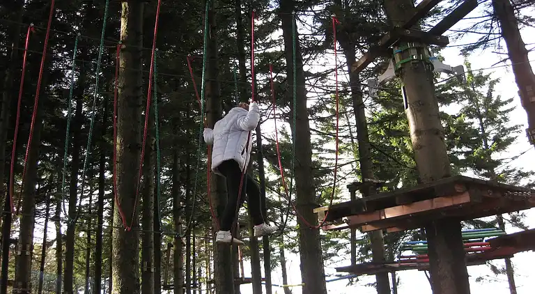 Holiday home in Abertamy