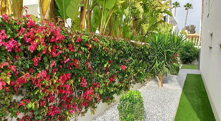 Villa in San Fulgencio