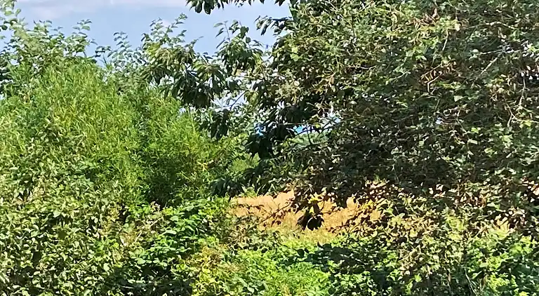 Holiday home in Struer