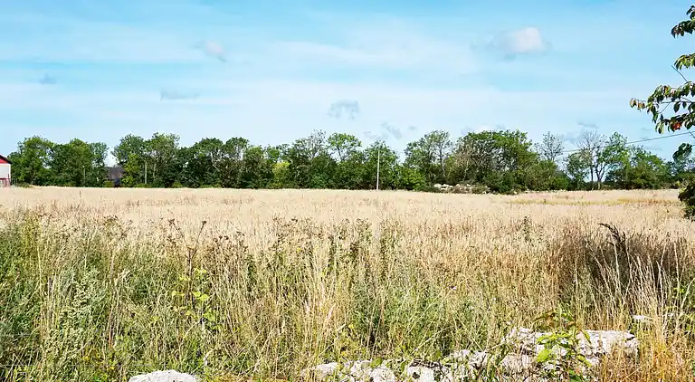 Sommerhus i Borgholm C