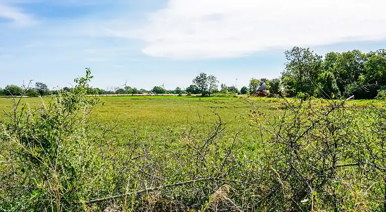 Sommerhus i Borgholm C