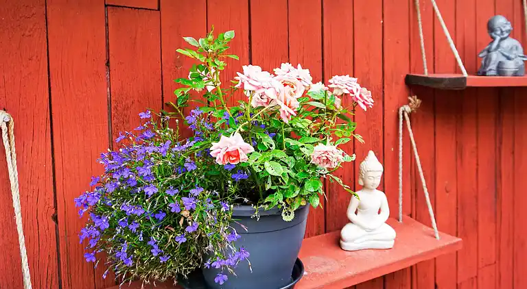 Sommerhus i Borgholm C