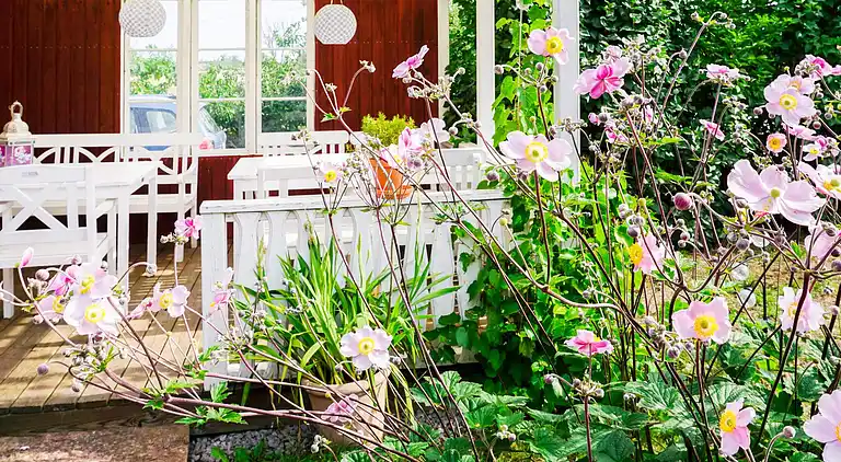 Sommerhus i Borgholm C