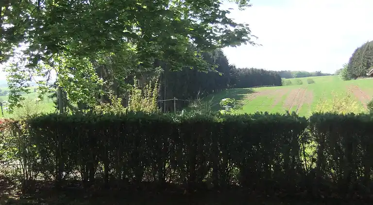 Sommerhus i Feriendorf Lissendorf