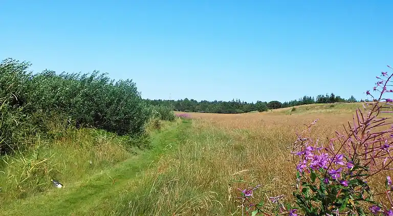 Casa vacanze in Højslev