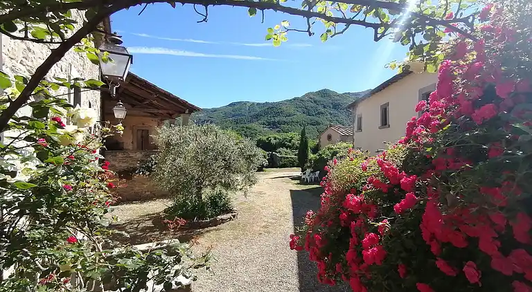Casa vacanze in Il Castagno D'Andrea