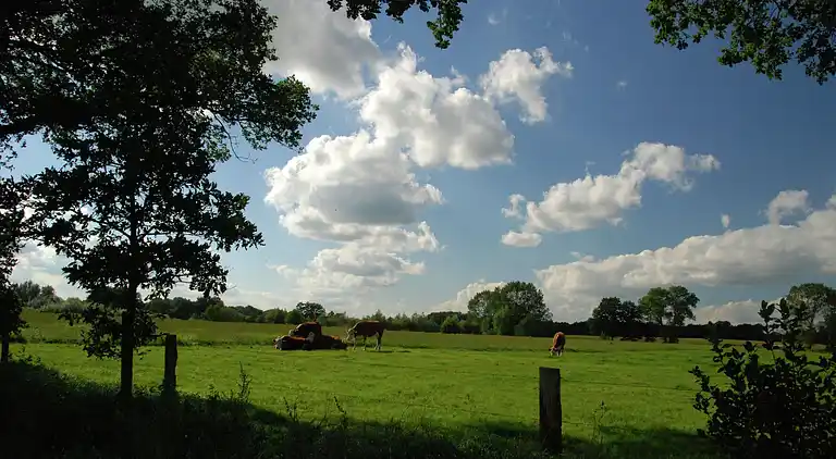 Cottage in Gramsbergen