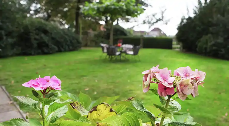 Cottage in Gramsbergen