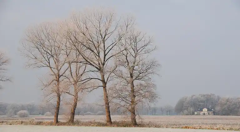 Cottage in Gramsbergen