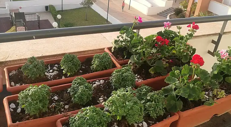 Lejlighed i urbaniseringen af ​​Roquetas de Mar, Almería