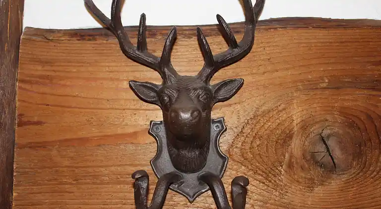 Apartment in Garfrescha