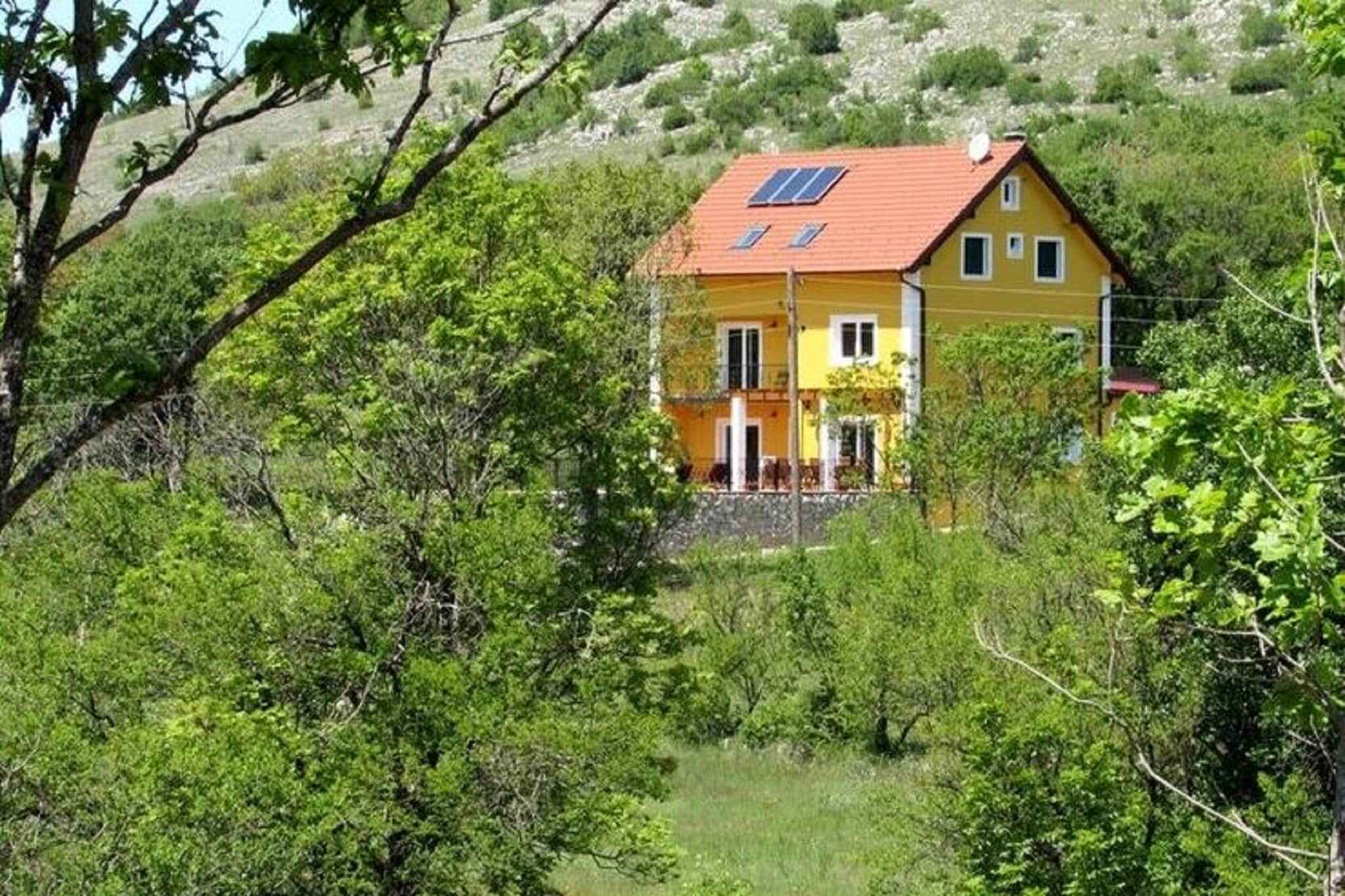 Large Image