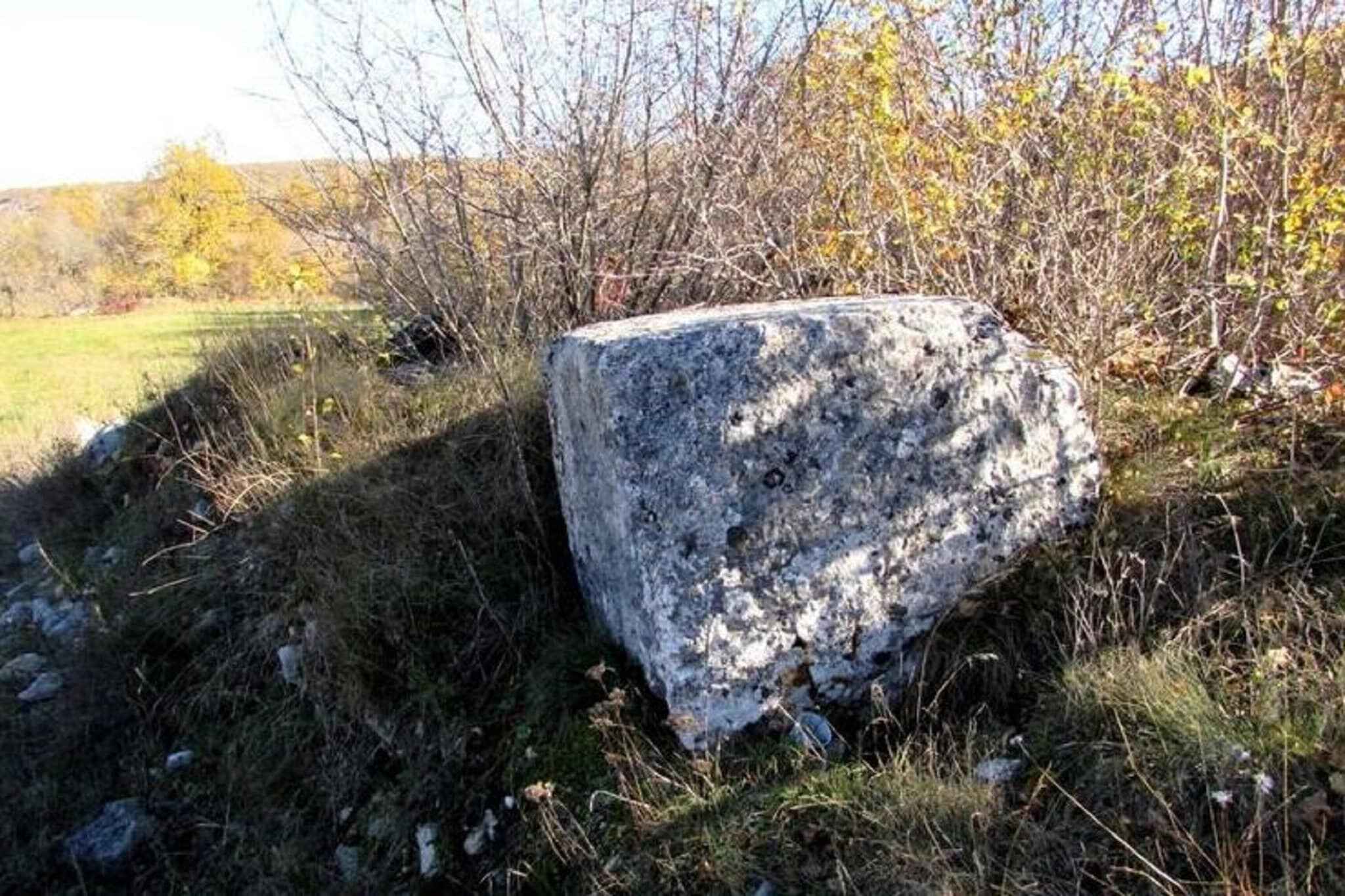 Large Image