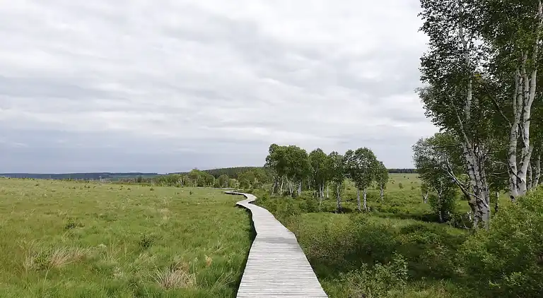 Holiday home in Robertville