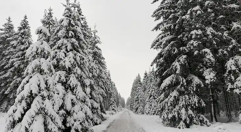 Holiday home in Robertville