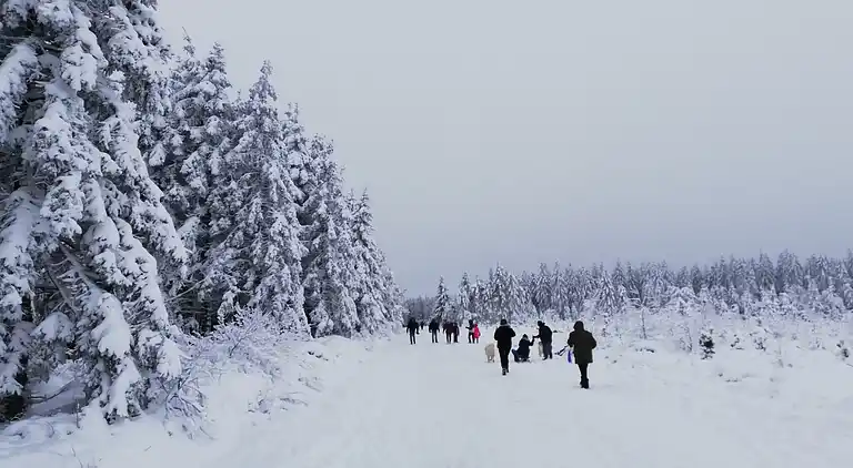 Holiday home in Robertville