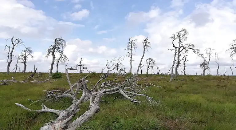 Holiday home in Robertville