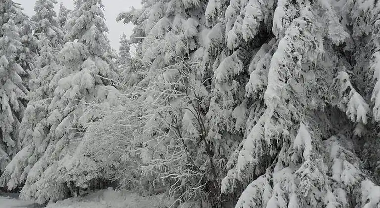 Ferielejlighed i Tresdorf