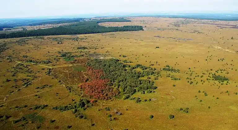 Holiday home in Bévercé