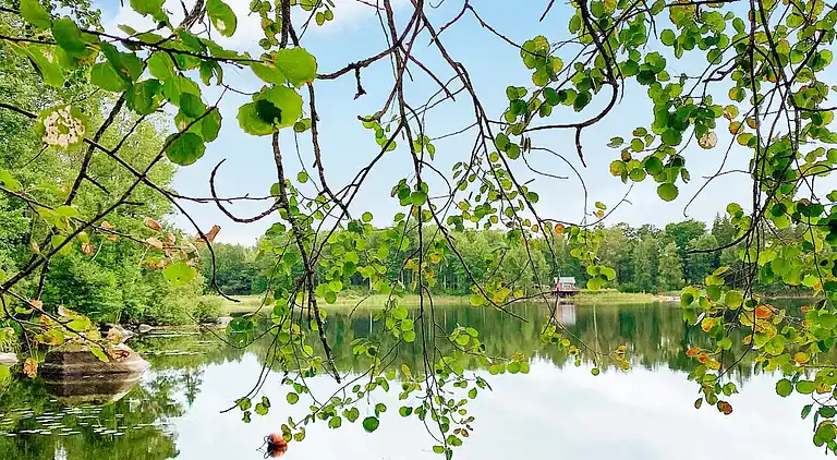 Holiday home in Vimmerby S