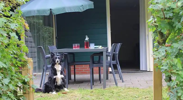 Semesterbostad i Rheezerveen
