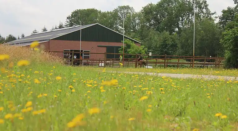 Semesterbostad i Rheezerveen