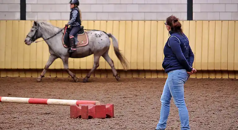 Semesterbostad i Rheezerveen