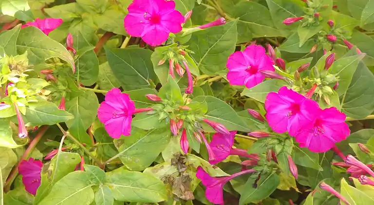 Holiday home in Loubejac