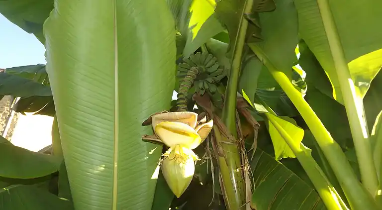 Holiday home in Loubejac