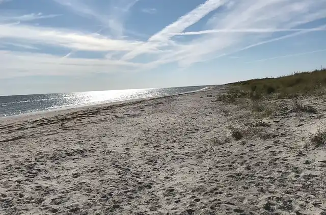 Vakkert tømmerhus ved natur og strand
