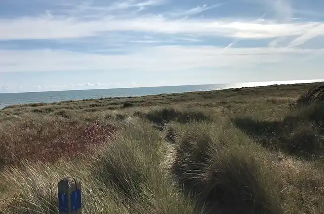 Vakkert tømmerhus ved natur og strand