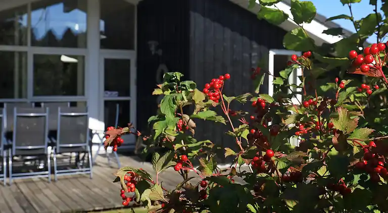 Sommerhus i Fjerritslev