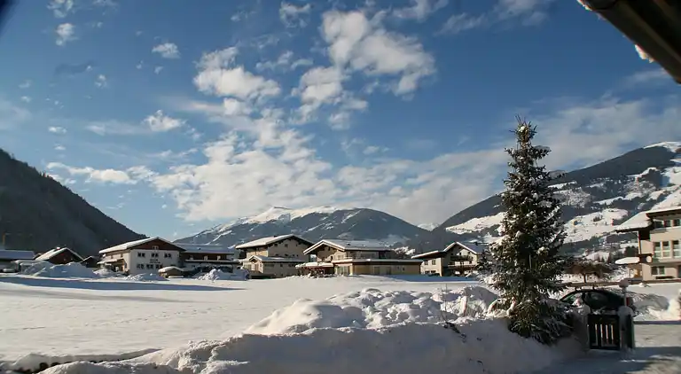 Holiday home in Hollersbach im Pinzgau