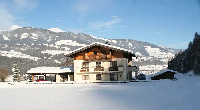 Holiday home in Hollersbach im Pinzgau