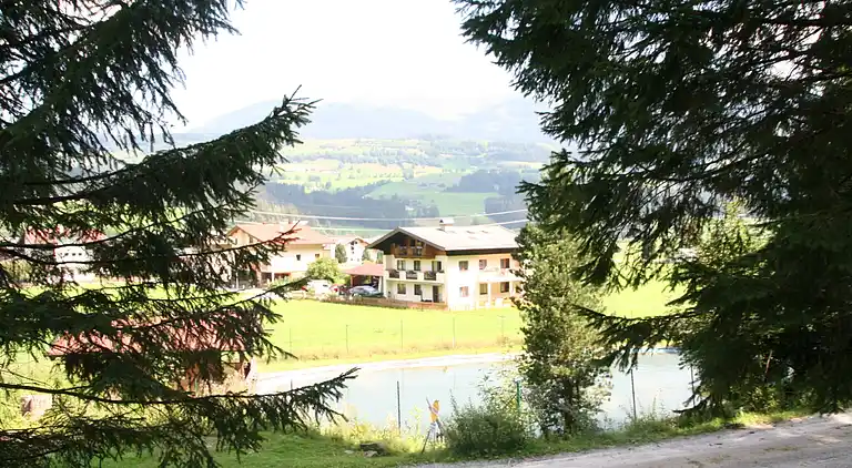 Holiday home in Hollersbach im Pinzgau