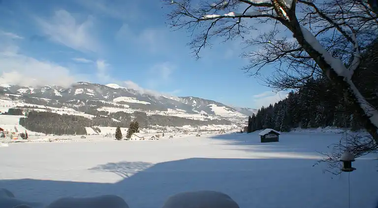 Holiday home in Hollersbach im Pinzgau