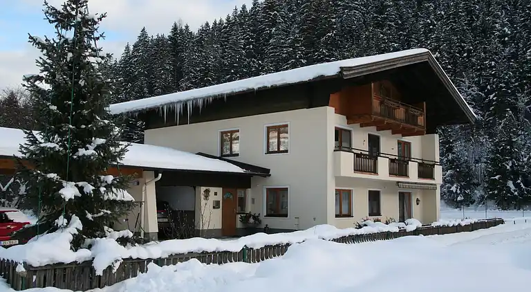 Holiday home in Hollersbach im Pinzgau