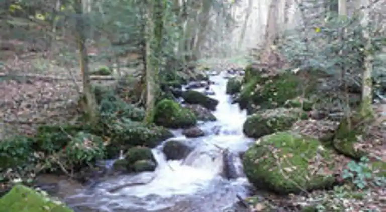 Apartment in Rickenbach