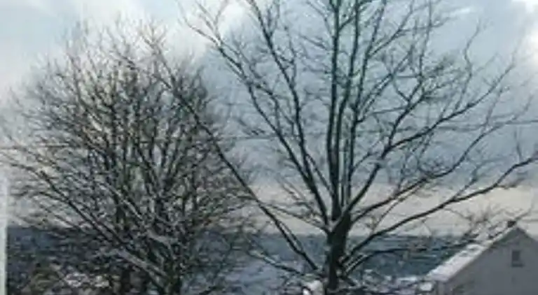 Ferielejlighed i Neuhochstein