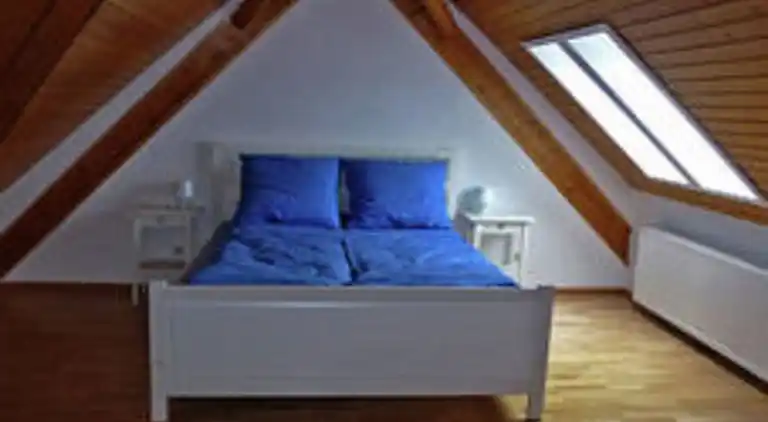 Apartment in Rickenbach