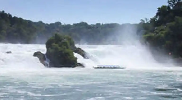 Apartment in Rickenbach