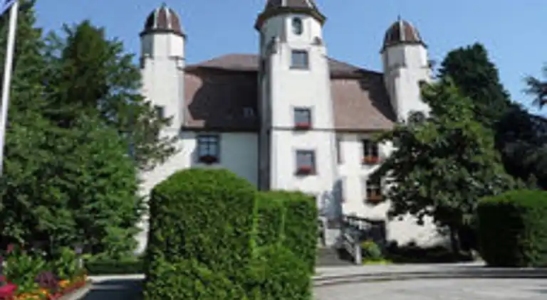 Apartment in Rickenbach