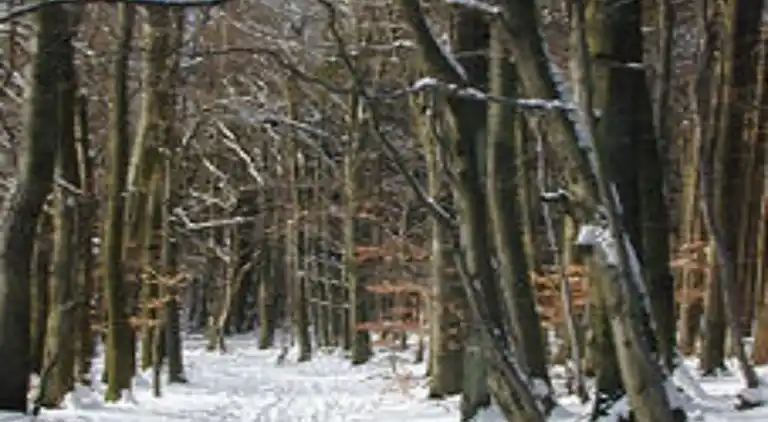 Ferielejlighed i Neuhochstein