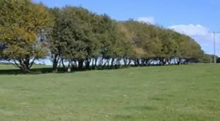 Ferielejlighed i Neuhochstein