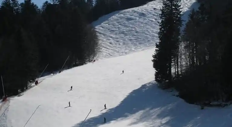 Cottage in Cornimont