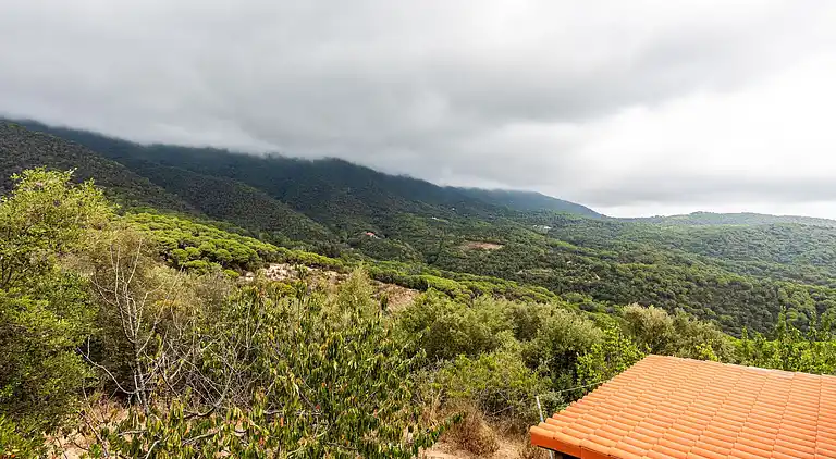 Mansione in Can Palau