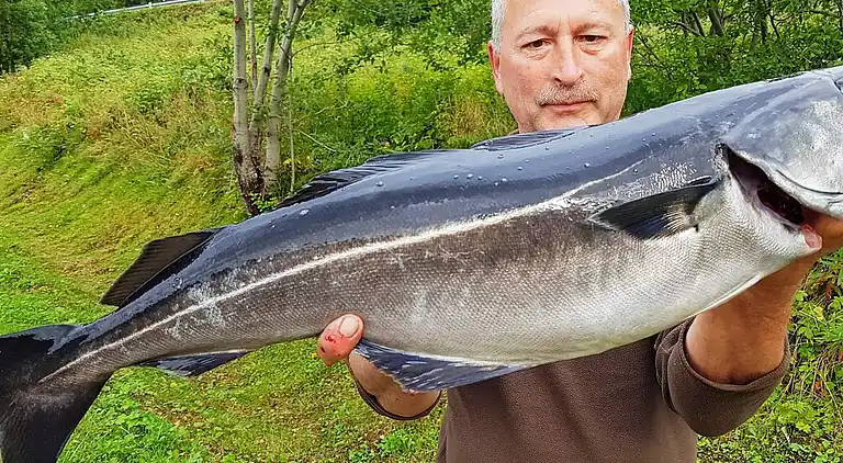 Holiday home in Sifjord