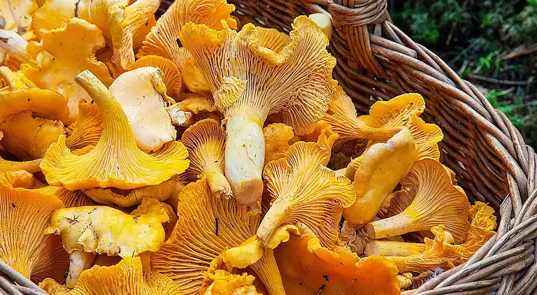 Holiday home in Laholm V