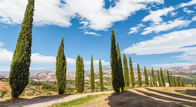 Holiday home in San Casciano dei Bagni