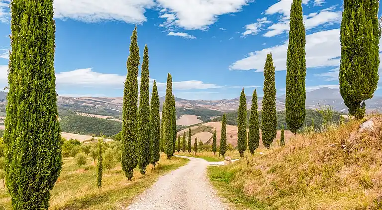 Holiday home in San Casciano dei Bagni